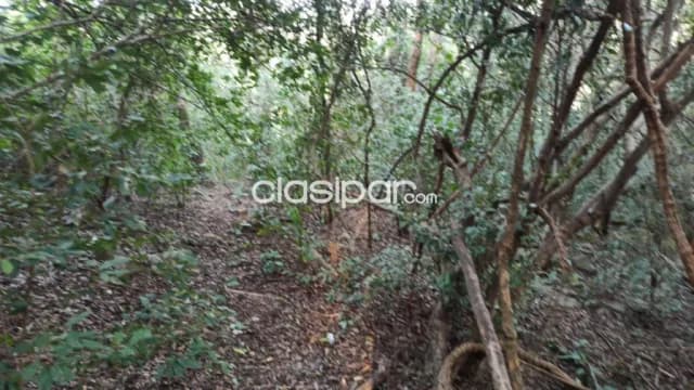 Terreno en San Bernardino | 14.362 m² | Ideal para Desarrollo, foto 2