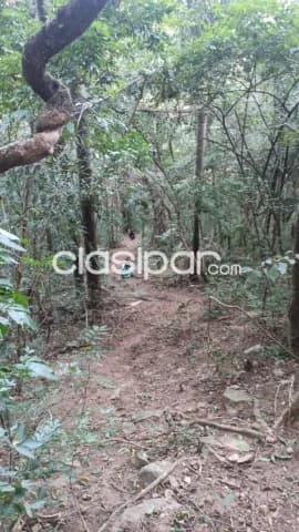 Terreno en San Bernardino | 14.362 m² | Ideal para Desarrollo, foto 4
