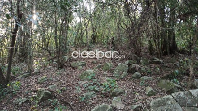 Terreno en San Bernardino | 14.362 m² | Ideal para Desarrollo