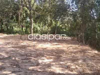 Terreno en venta en vendo terreno en Mariano Roque Alonso zona cimee, foto 3