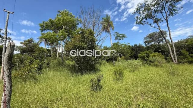 En venta 8.5 hectáreas en piribebuy 🌳🌴, foto 4