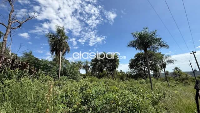 En venta 8.5 hectáreas en piribebuy 🌳🌴, foto 5