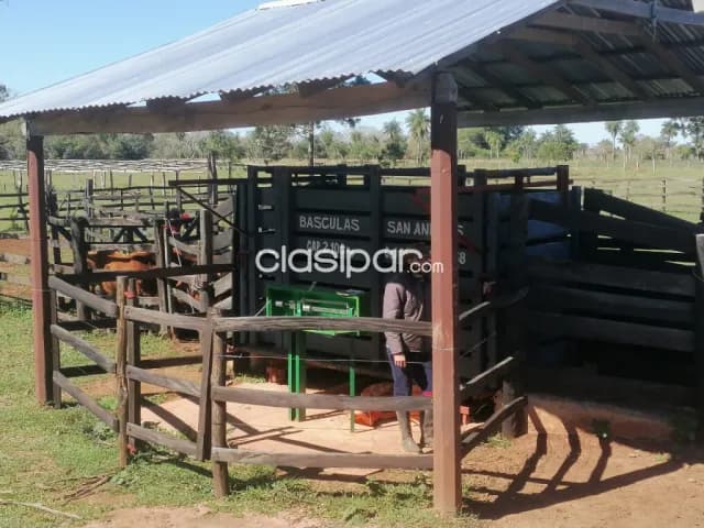 Hermoso campo ganadero a la venta!!, foto 3