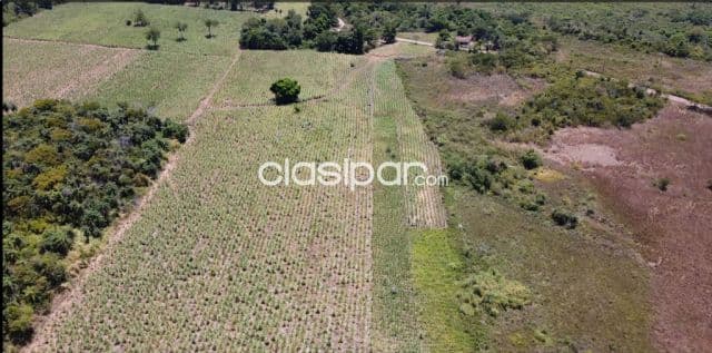 Terreno 9,5 Hectareas Arroyos y Esteros