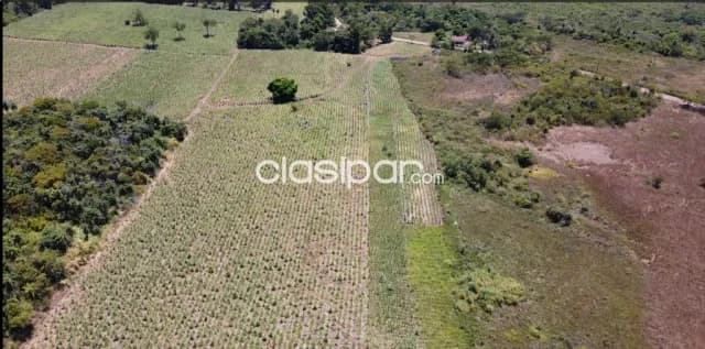 Terreno 9,5 Hectareas Arroyos y Esteros, foto 2