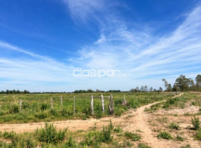Campo Agrícola en Venta en Abaí | 19,9 Ha | Ideal para Producción