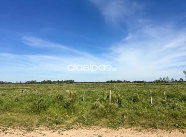 Campo Agrícola en Venta en Abaí | 19,9 Ha | Ideal para Producción, foto 2