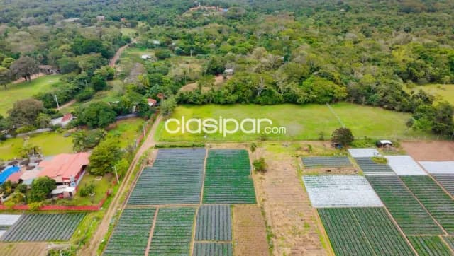 Terreno en aregua - estanzuela, foto 2