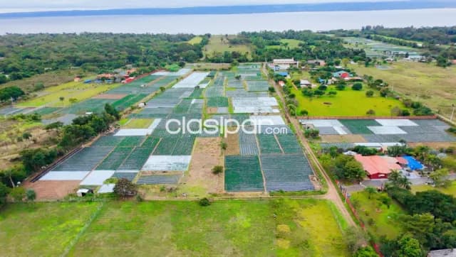 Terreno en aregua - estanzuela, foto 3