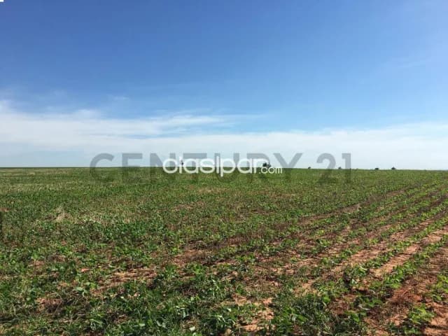 49 hectareas en Abai Caazapa-Gran Oportunidad de inversion, foto 4