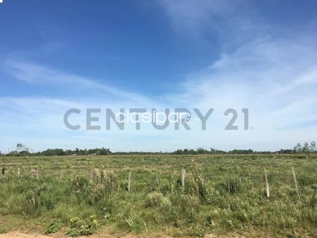 49 hectareas en Abai Caazapa-Gran Oportunidad de inversion, foto 5
