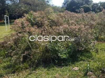 Terreno en venta en se vende terreno en areguá, foto 5