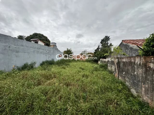Oferta Terreno en Luque palma loma 10x27,3 metros con muralla en frente, foto 3