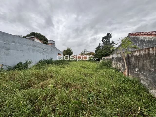 Oferta Terreno en Luque palma loma 10x27,3 metros con muralla en frente, foto 4