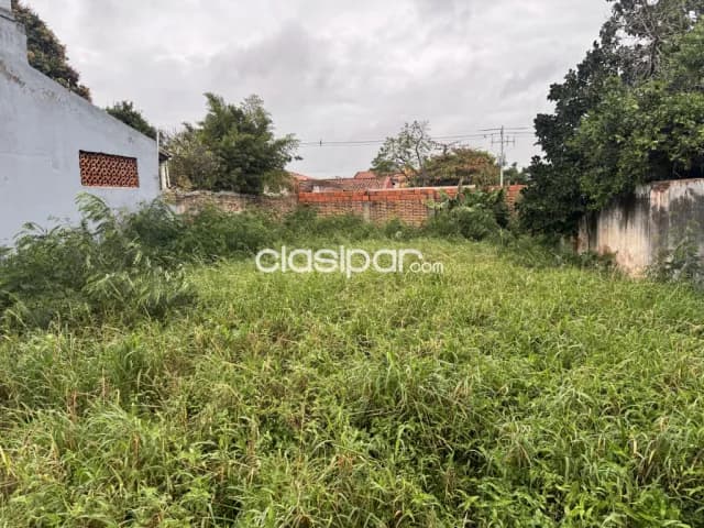Oferta Terreno en Luque palma loma 10x27,3 metros con muralla en frente, foto 5