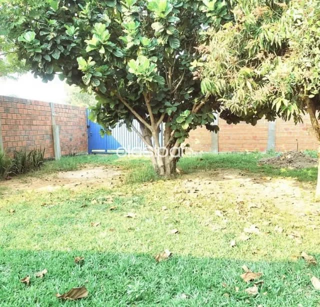 Casa en Limpio Barrio Villa Jardín, foto 5