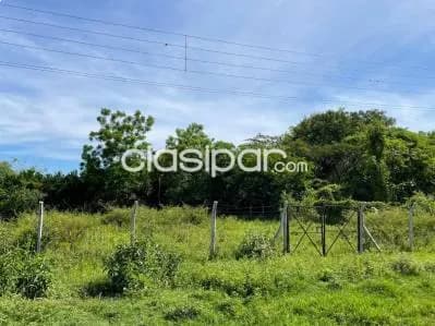 Terreno en venta en se vende terreno de 880 m2 en Luque, zarate isla, foto 2