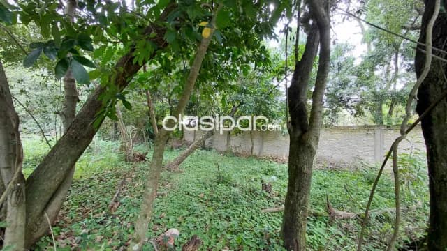 Terreno en urbanización Playas de Aregua zona Lago Ypacarai, foto 4