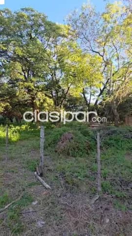 terreno en Luque-Barrio America, foto 4
