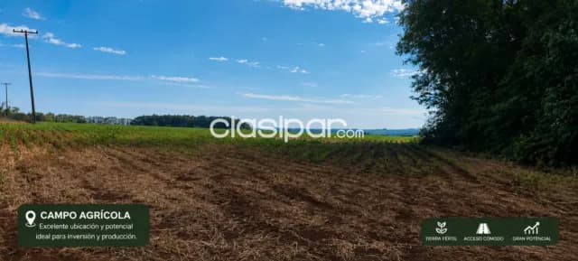 Campo Agrícola en Capitán Meza | 55 Ha | USD 852.500, foto 3