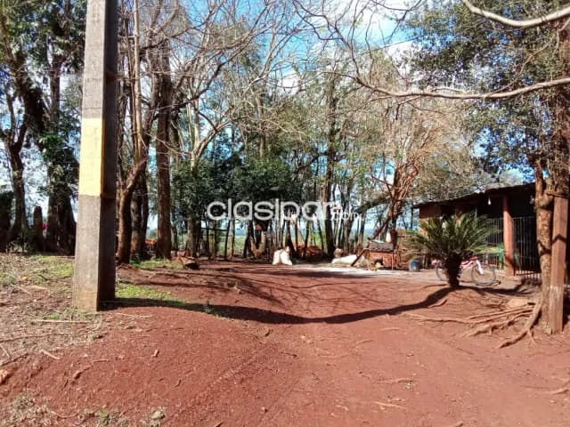 Terreno en Mayor Otaño - Itapúa, foto 4