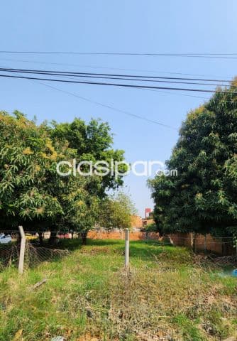 Terreno en Fernando de la Mora | 370 m² | Gs. 870 Millones