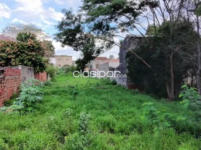terreno 1111 m2 de calle a calle en Lambaré, foto 4