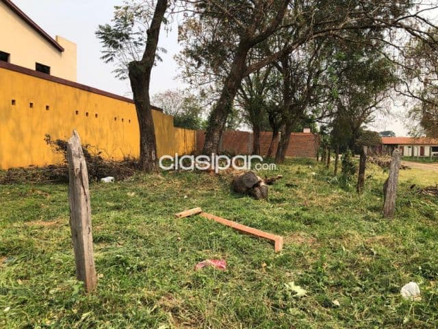 terreno en San Lorenzo