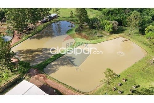 Estancia/Campo-Venta-PY Alto Paraná Tavapy