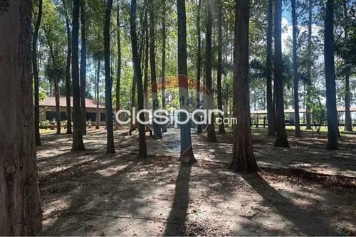 Estancia/Campo-Venta-PY Alto Paraná Tavapy, foto 4