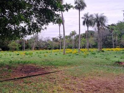 Vendo propiedad con terreno de 1 há en caacupe, compañia ita ivu guasu