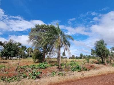 Vendo imponente terreno en pedro juan caballero