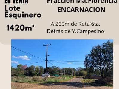 Gran terreno en esquina, detrás de Yerbatera Campesino