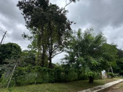 Venta de terreno en San Bernardino