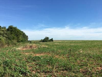 Campo en venta | 15 hectáreas con gran potencial productivo en abaí, caazapá