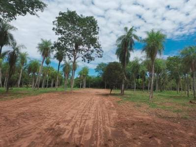 Oportunidad de inversion lotes en la ciudad de altos