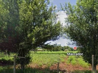 Dos Terrenos a la venta de uno