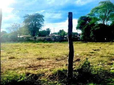 Mariano Roque Alonso Media hectárea Oportunidad