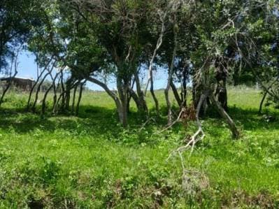 Venta terreno Ytu pora PIRIBEBUY
