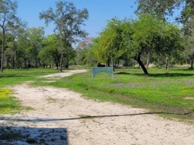 Se vende 46 hectareas en zanjita- villa oliva