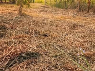 Terreno en venta a pasos de la playa san juan del parana