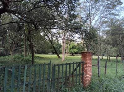 Vendo terreno en Luque