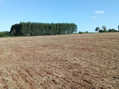 En venta propiedad 8 hectareas agricola mecanizada