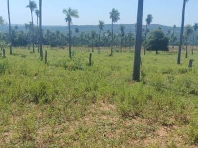 Vendo fabulosa propiedad en Piribebuy, con vistas panorámicas a cerros