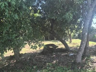 Terreno en venta en Altos