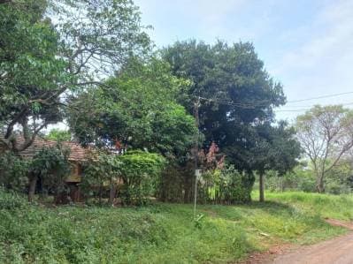 Lote en esquina San Juan del Paraná