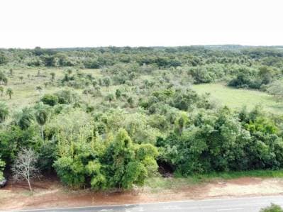 Terreno en venta — zona nueva italia
