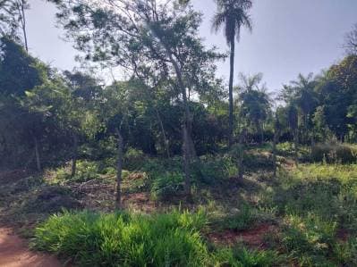 Vendo 3 terrenos juntos en aregua pindolo