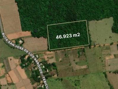 Terreno de 46.923 m² ubicado en el distrito de San José de los Arroyos