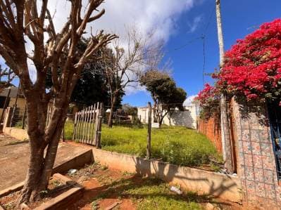 Terreno en venta sobre asfalto en Reducto San Lorenzo
